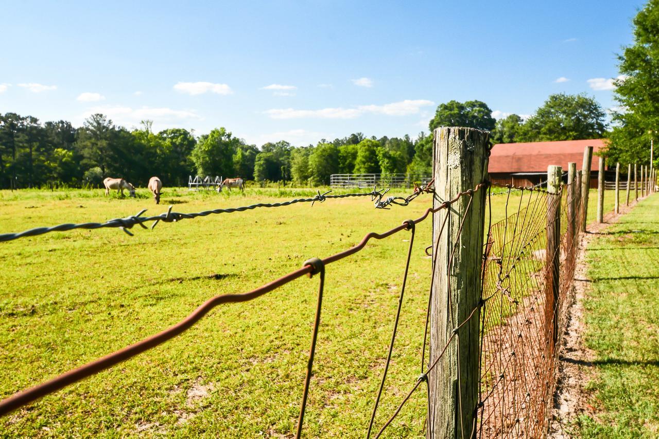 Bed and Breakfast Dublin Farm Экстерьер фото