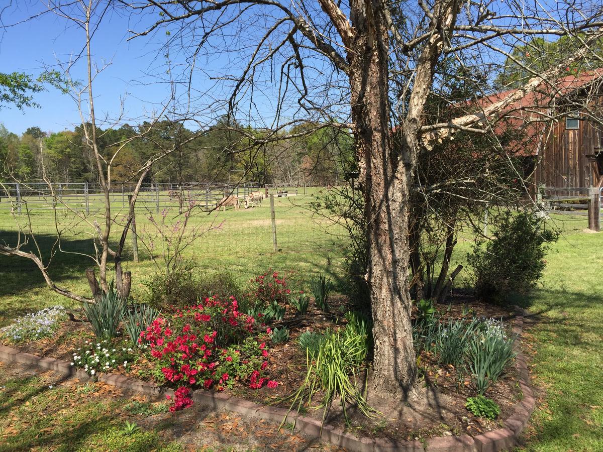 Bed and Breakfast Dublin Farm Экстерьер фото