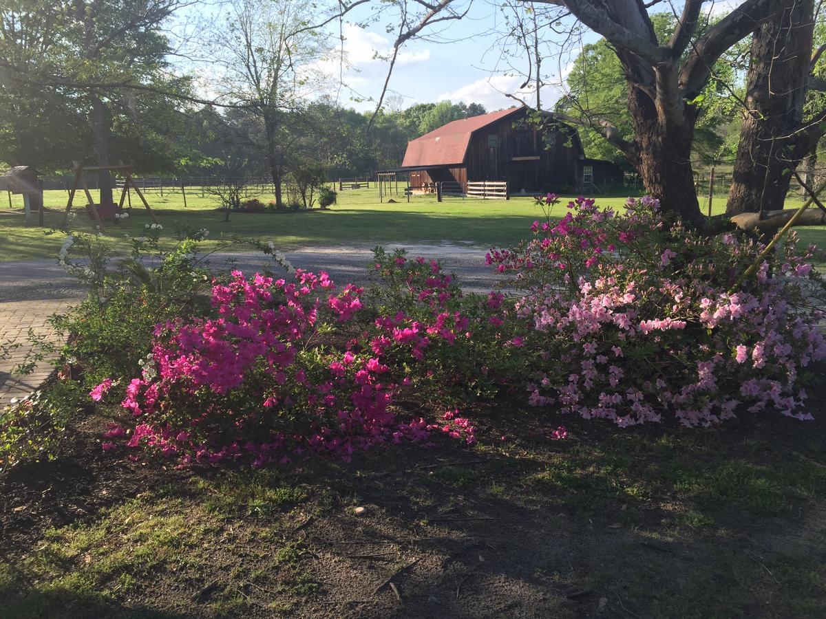 Bed and Breakfast Dublin Farm Экстерьер фото